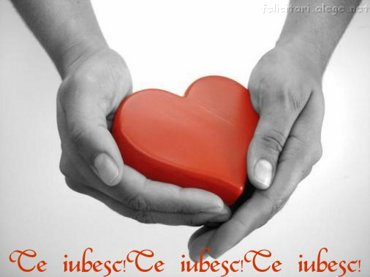 Te Iubesc!Te Iubesc!Te Iubesc!